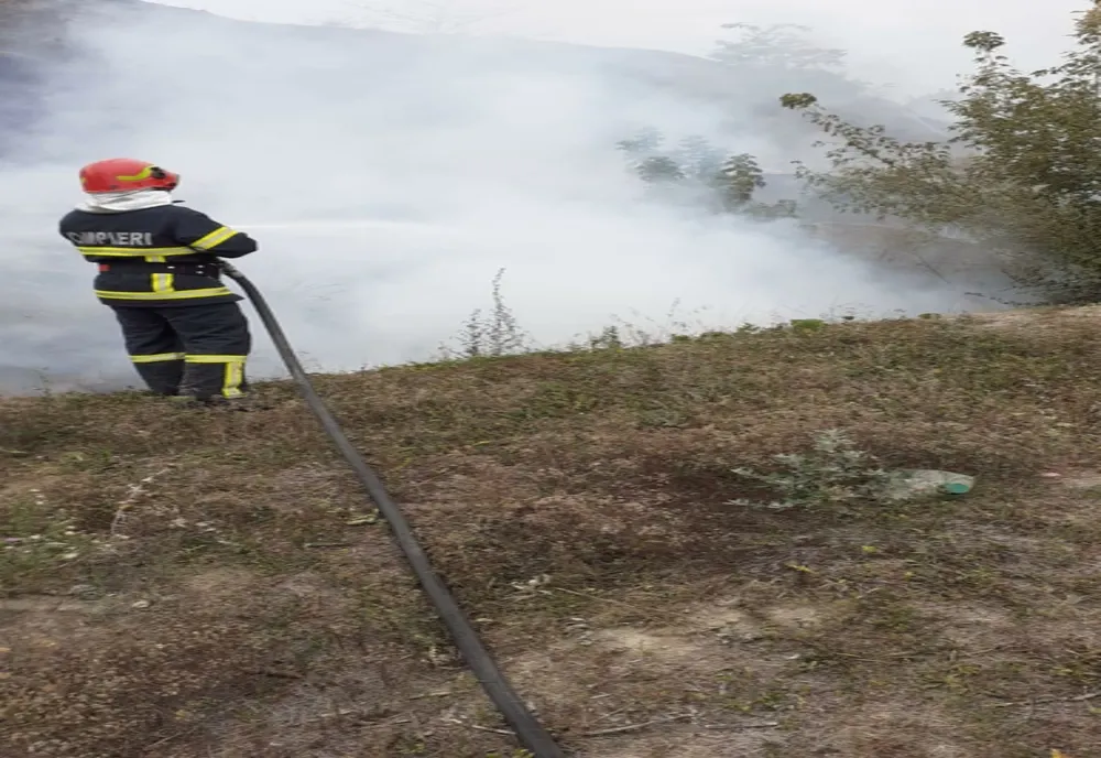 FOTO| Incendiu de vegetație în Tulcea