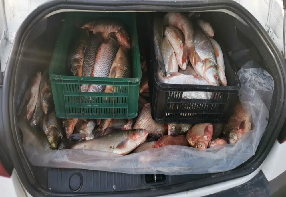 Prins cu 40 de kilograme de pește în mașină