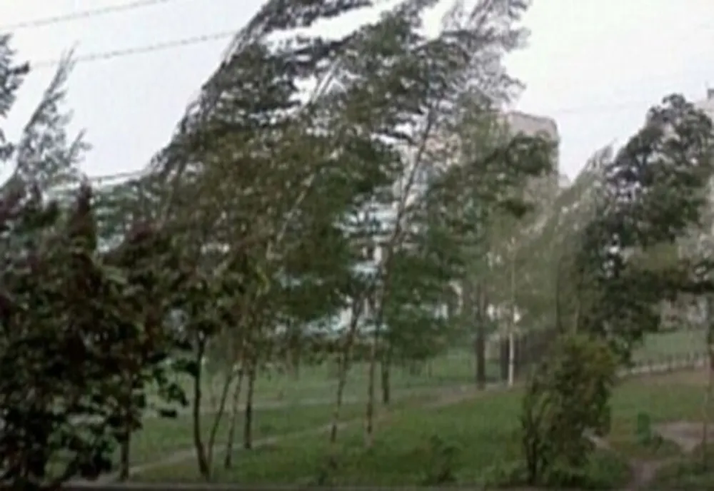 Alertă meteo. Cod galben de vreme severă imediată în județele Constanța și Tulcea