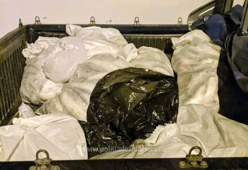 172 kilograme de scrumbie confiscate la Sfântu Gheorghe