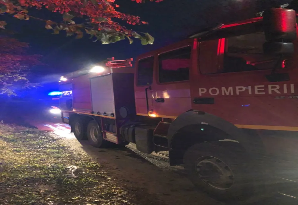FOTO Incendiu puternic la o casă, din cauza unui coș de fum deteriorat