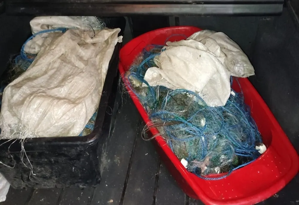 Zeci de kilograme de pește fără acte confiscate de polițiștii de frontieră