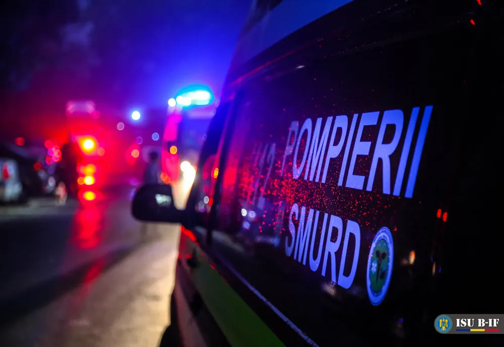 Copii spulberați pe trecerea de pietoni