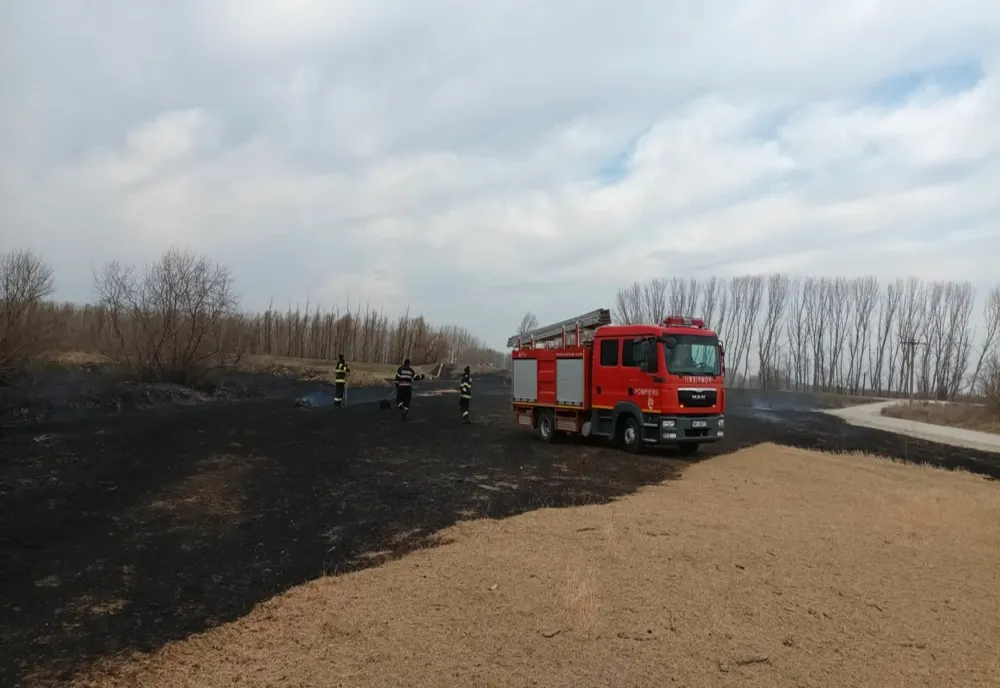 Două hectare de vegetație uscată au ars în urma unui incendiu