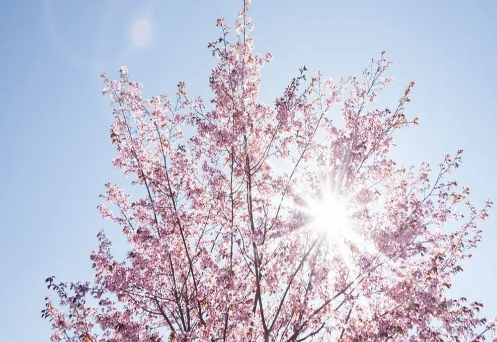 Prognoza meteo a fost actualizată: directorul ANM anunță din nou până la 20 de grade Celsius. Valori nefirești, zone cu temperaturi record