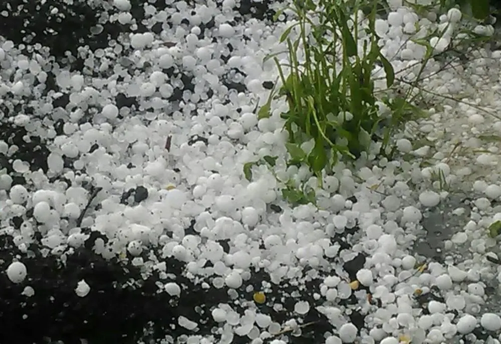 Alertă meteo. Cod galben de fenomene extreme: vijelii puternice și grindină 