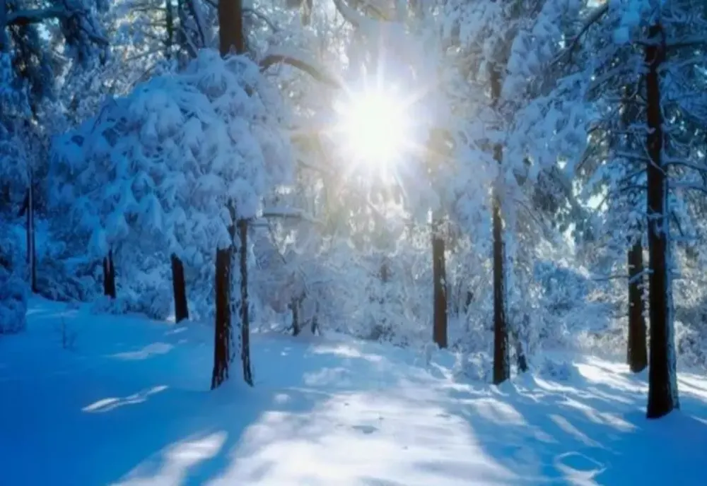 Prognoza meteo 24 noiembrie. Vreme extremă: viscol în nord, 15 grade în sud