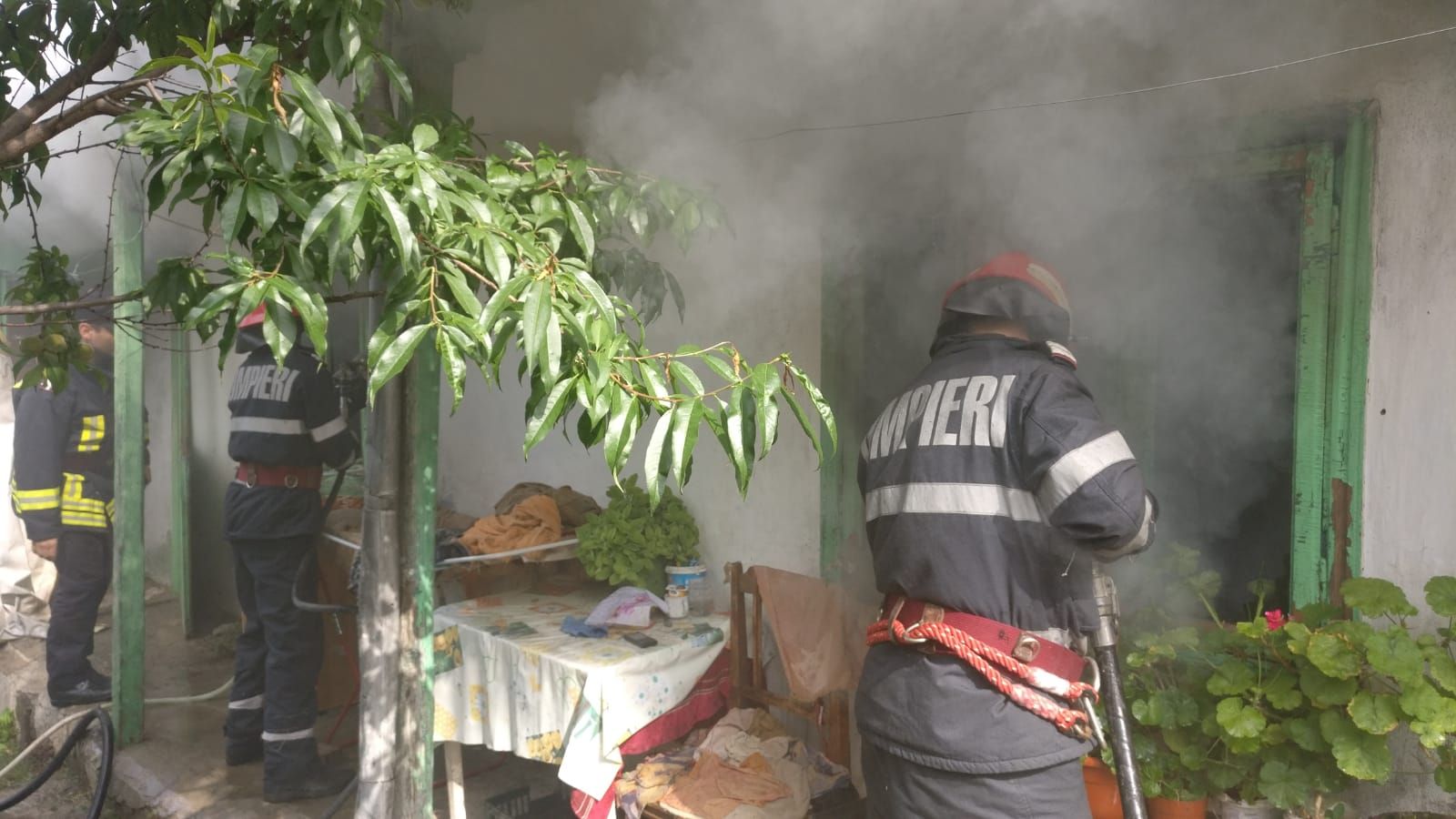 WhatsApp Image 2018-07-10 at 09.44.59