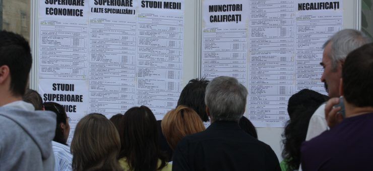 locuri-de-munca-ajofm-740x340