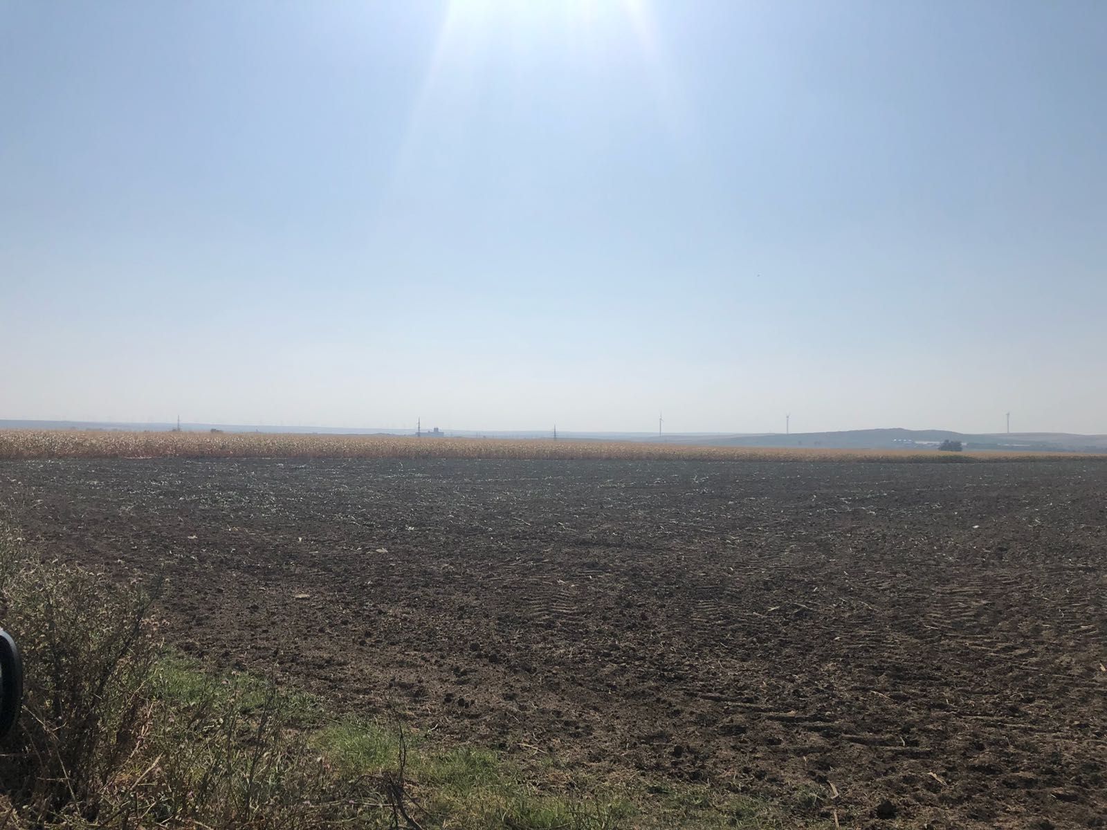 Image 2018-08-31 at 12.20.37