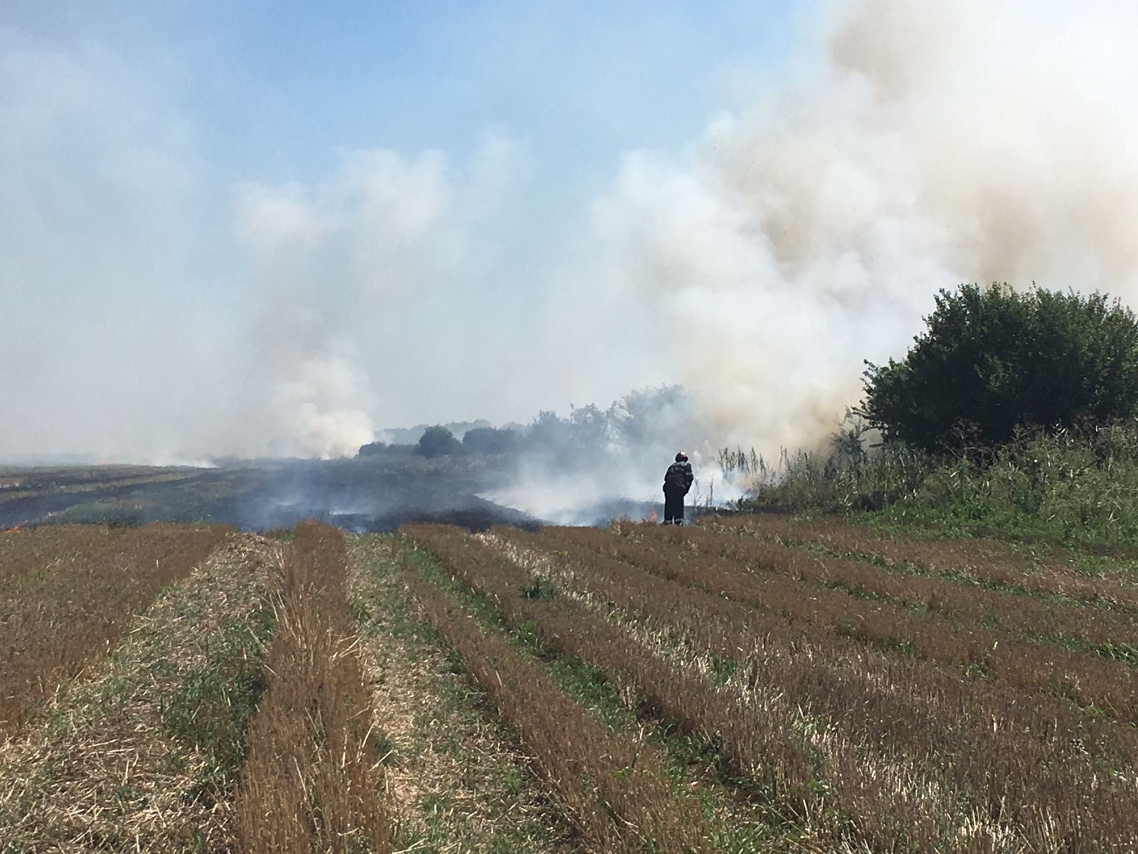 WhatsApp Image 2018-08-08 at 17.44.57