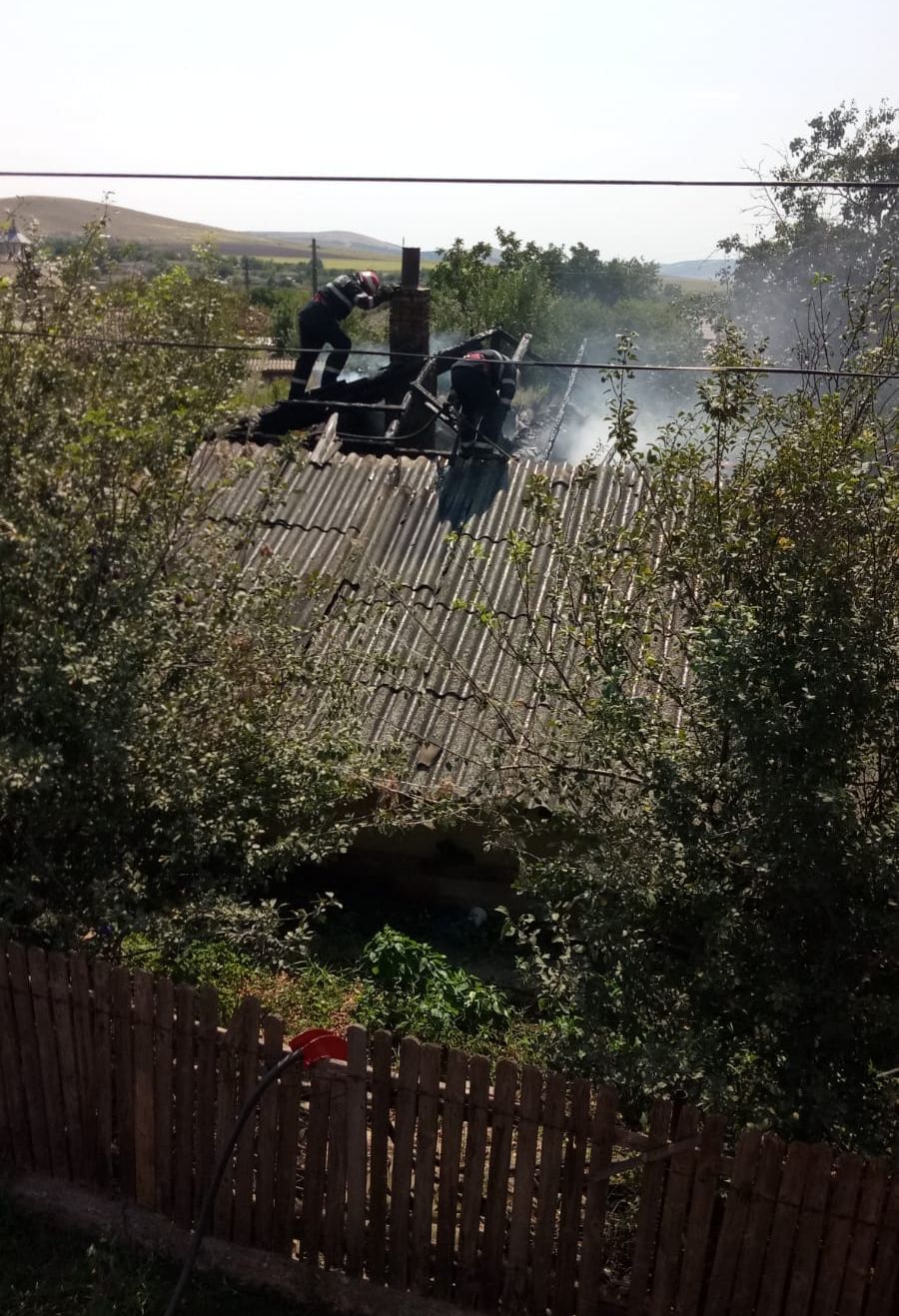 WhatsApp Image 2018-08-19 at 11.57.58