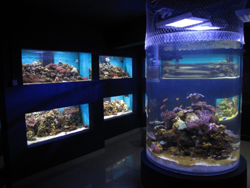 Centrul-Muzeal-Eco-Turistic-Delta-Dunarii-3