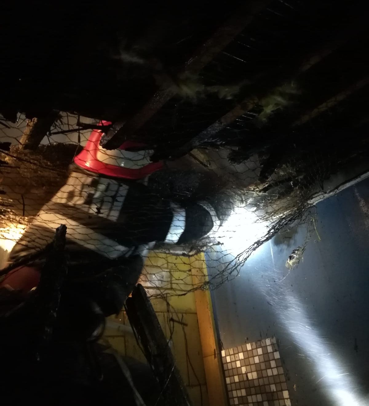 WhatsApp Image 2018-11-12 at 06.25.25