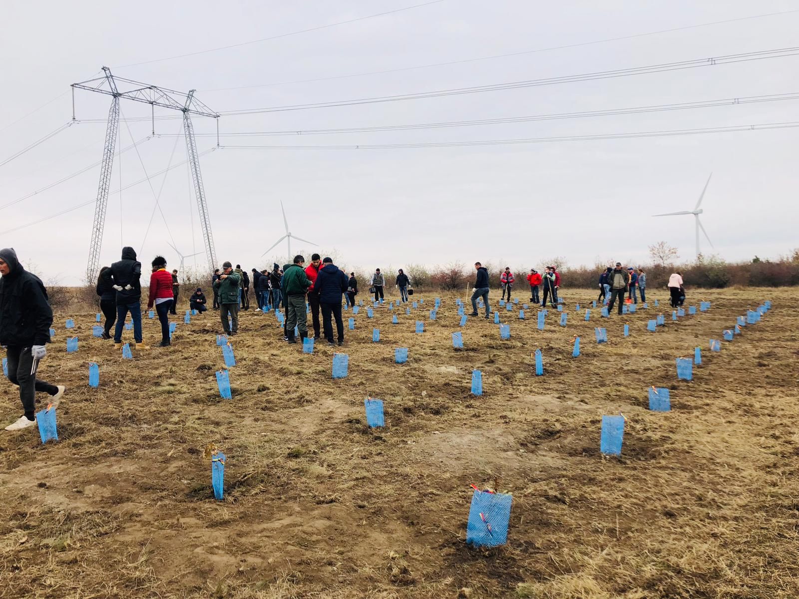 WhatsApp Image 2018-11-14 at 18.57.10