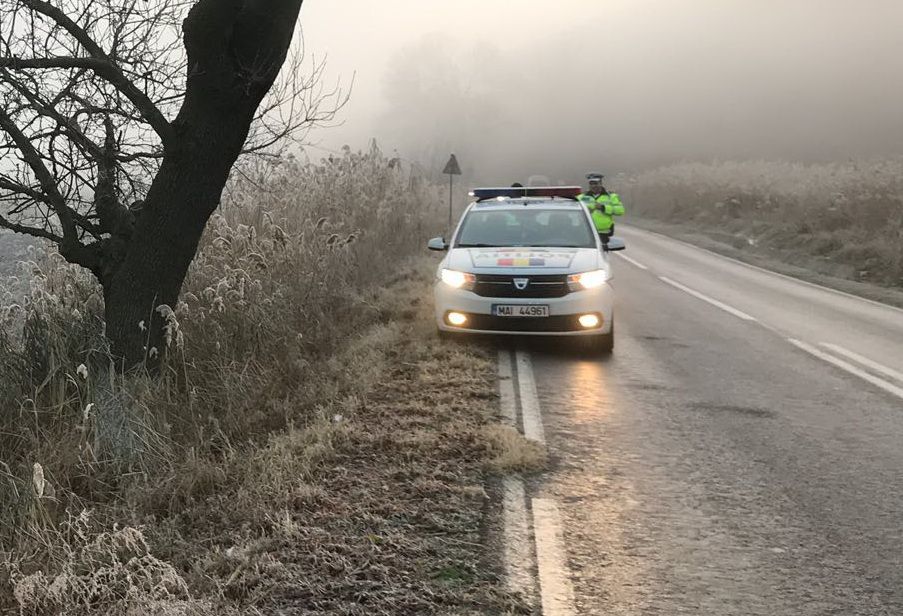 WhatsApp Image 2018-12-04 at 10.51.30