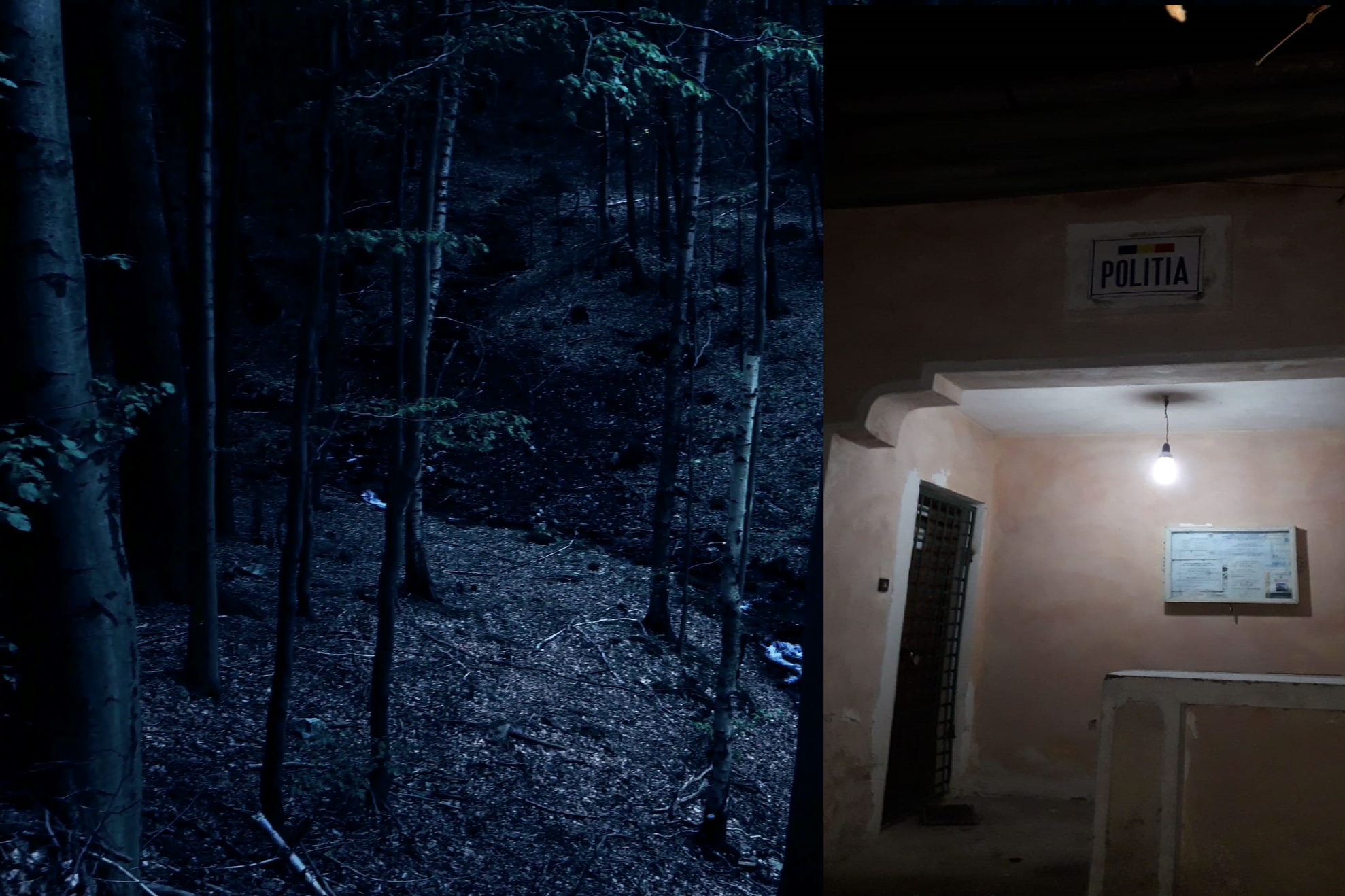 4k-dark-night-forest-twilight-pan-in-low-mountain-range-harz_vk-eezivg__F0000