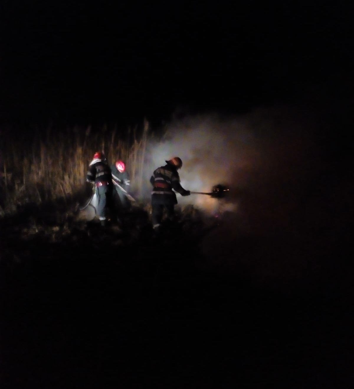 WhatsApp Image 2019-01-04 at 18.34.38