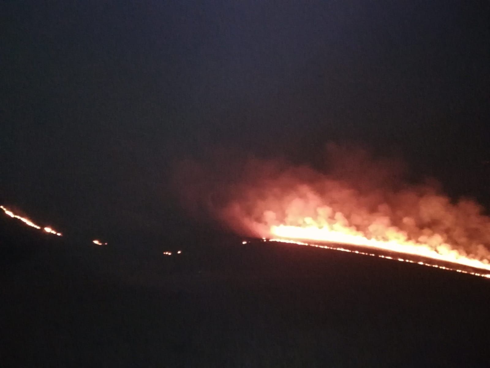 WhatsApp Image 2019-01-04 at 19.56.19