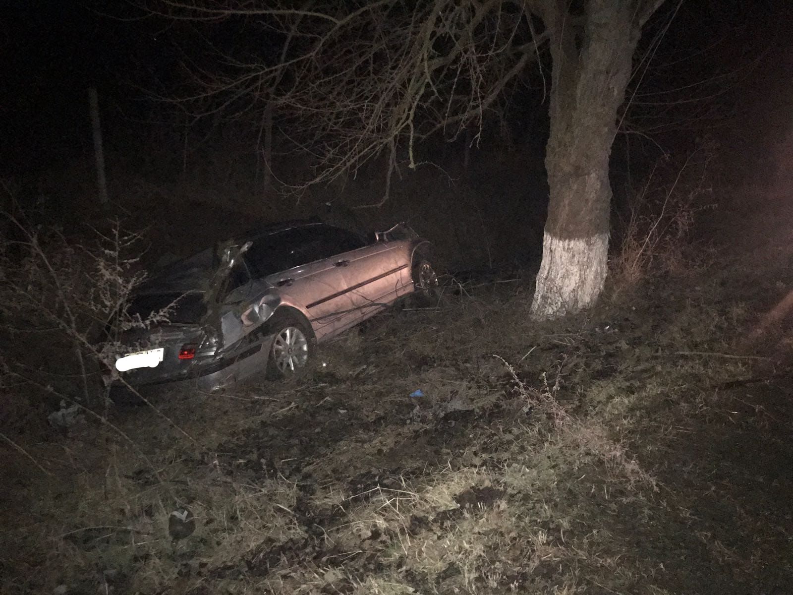 WhatsApp Image 2019-01-18 at 20.27.06