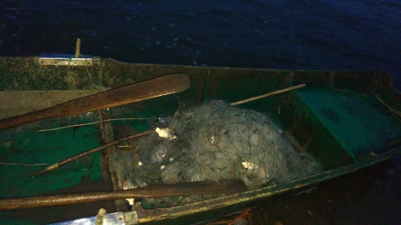 53190143_310920602942138_3717379290875035648_n