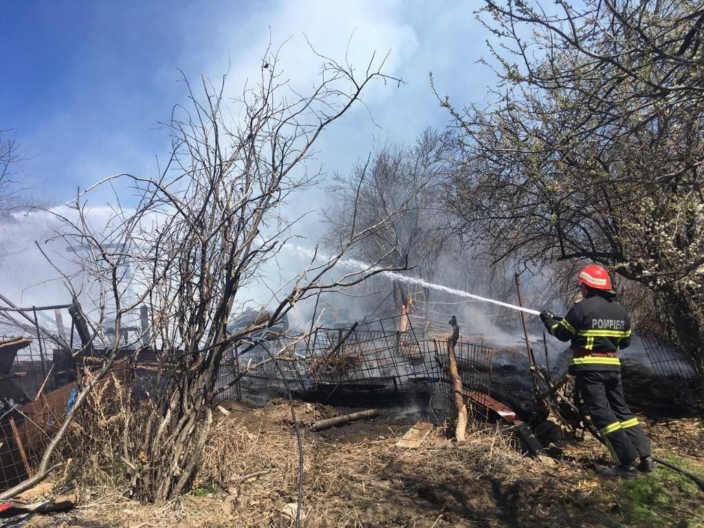 53921398_1266888733479965_404827395229483008_o