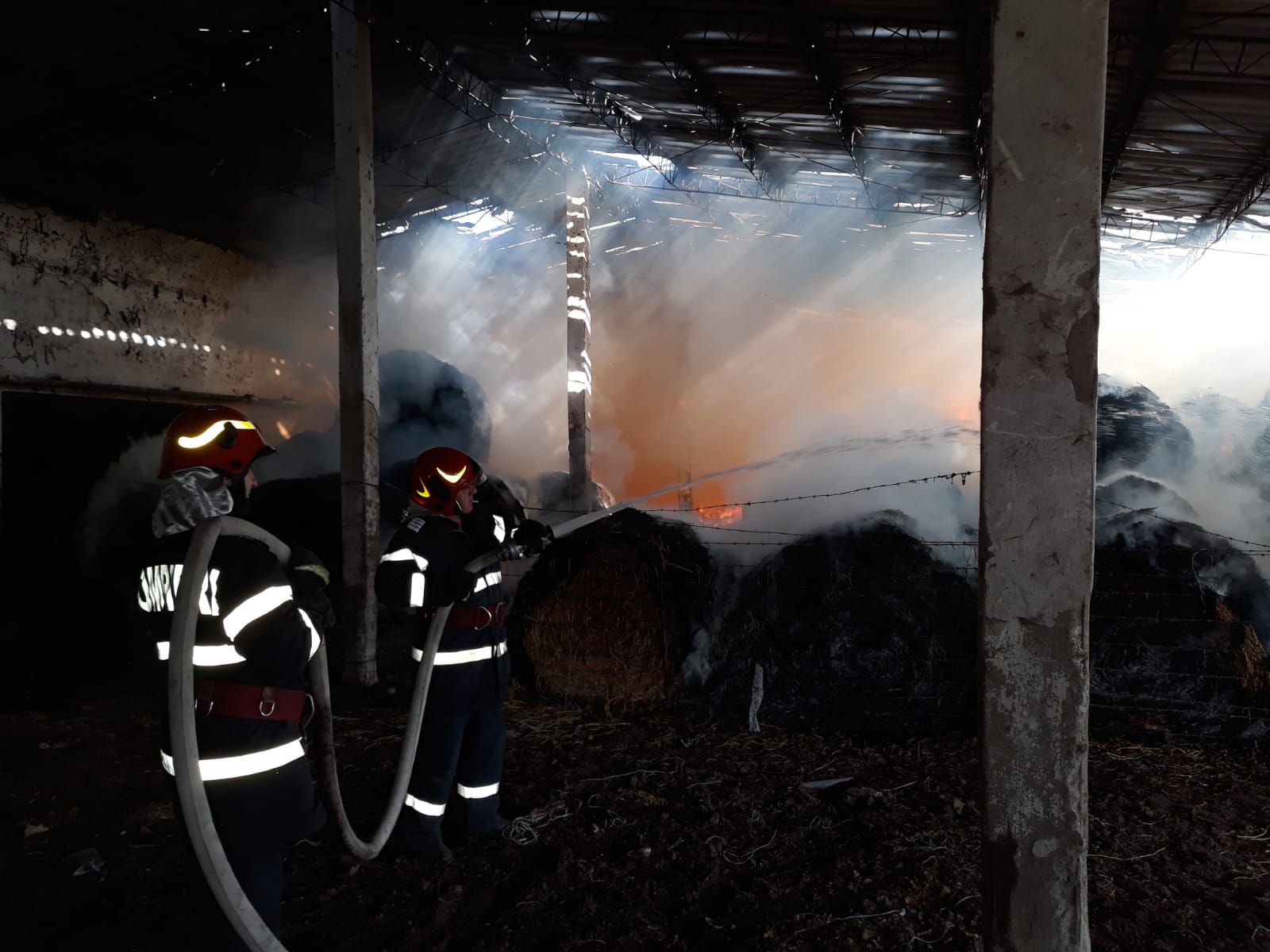 WhatsApp Image 2019-03-23 at 16.37.51