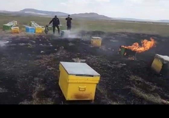 FB_IMG_1555778849566