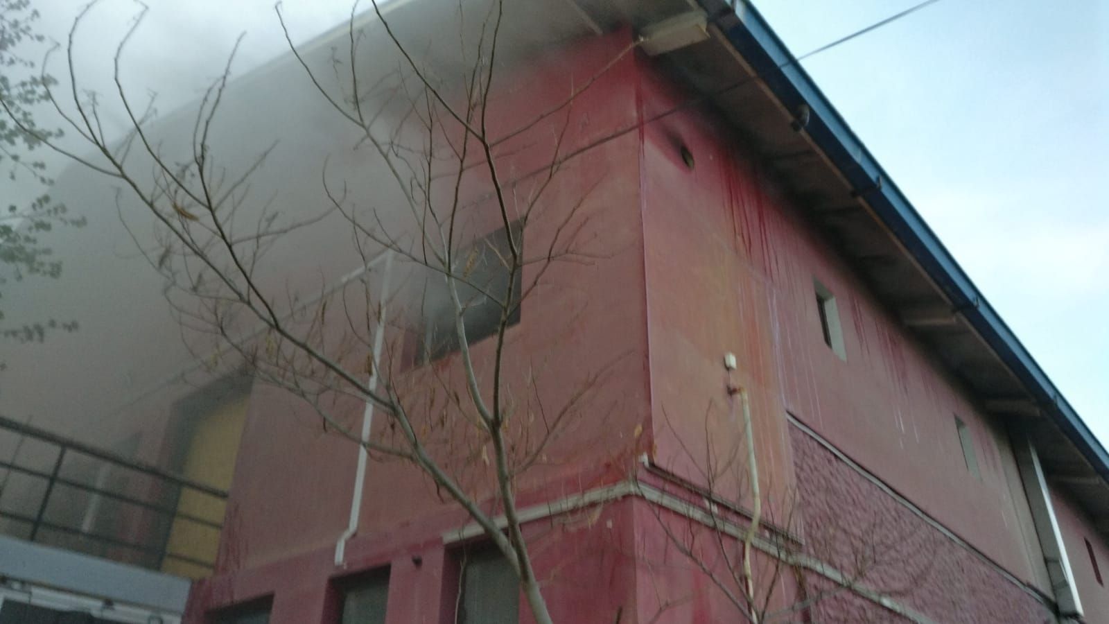 WhatsApp Image 2019-04-06 at 19.55.23