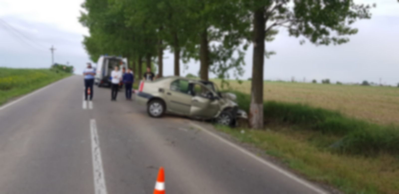 WhatsApp Image 2019-05-24 at 19.28.02(1)