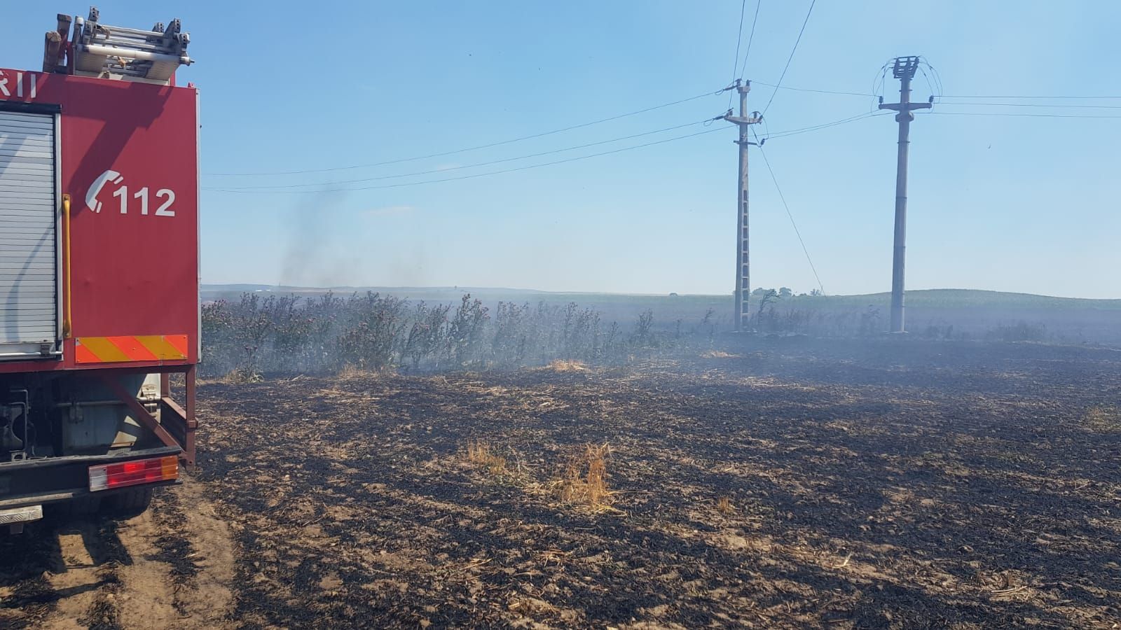 WhatsApp Image 2019-06-30 at 13.27.45