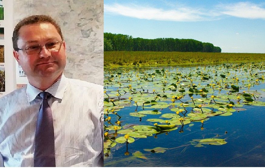 zone-umede-e1454318283347