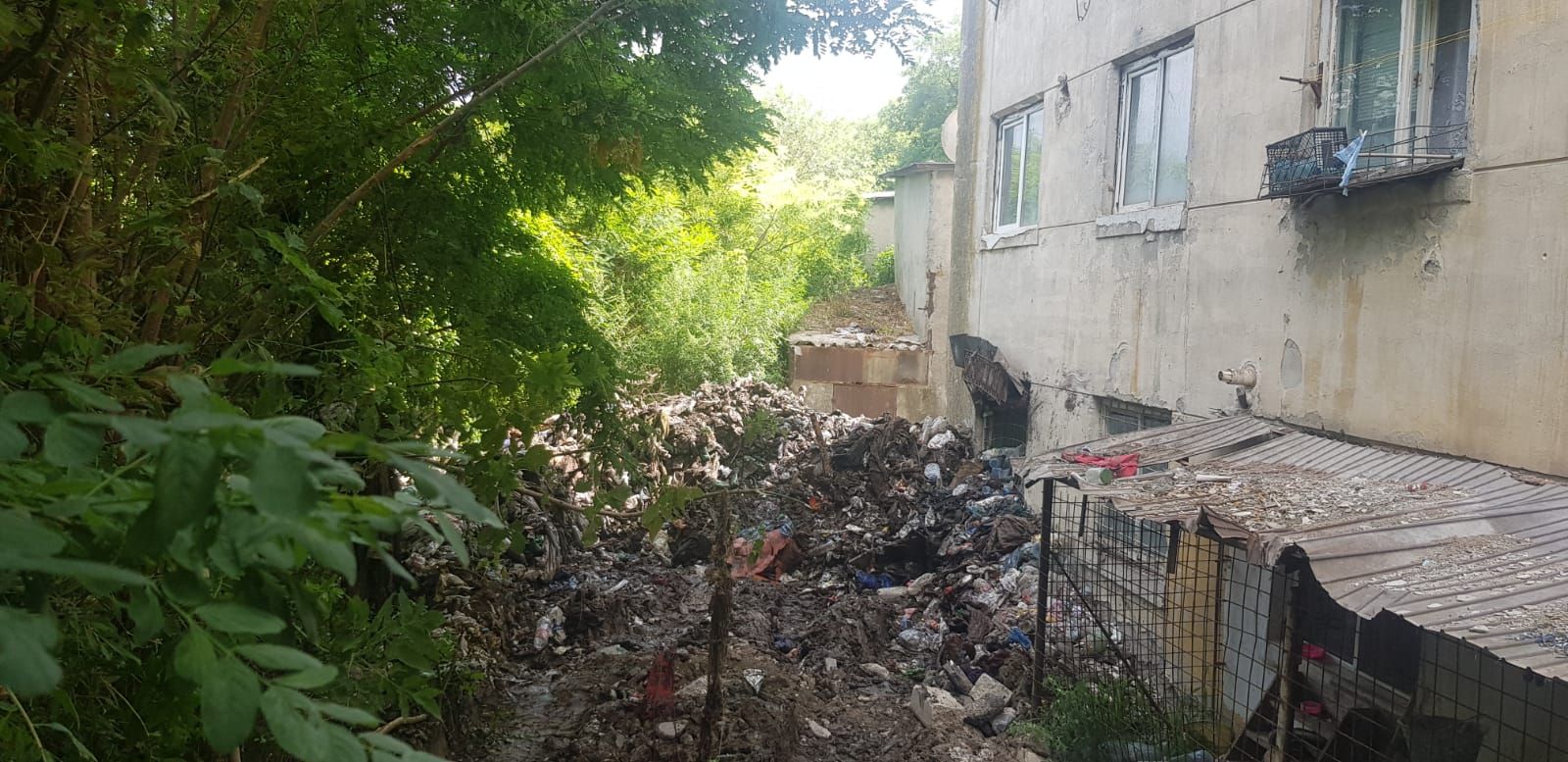 WhatsApp Image 2019-07-18 at 12.22.40