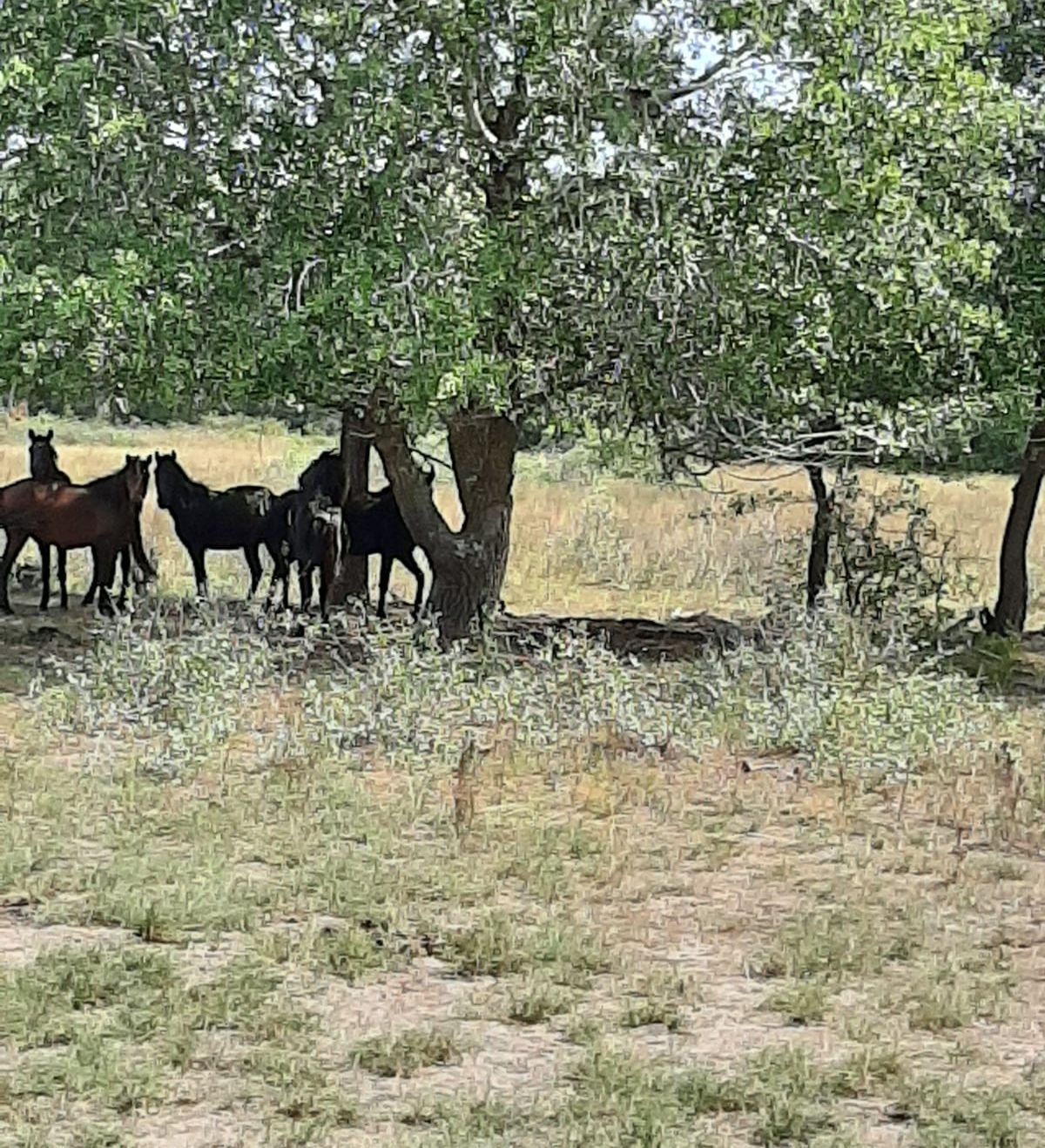 WhatsApp Image 2019-07-24 at 14.44.36