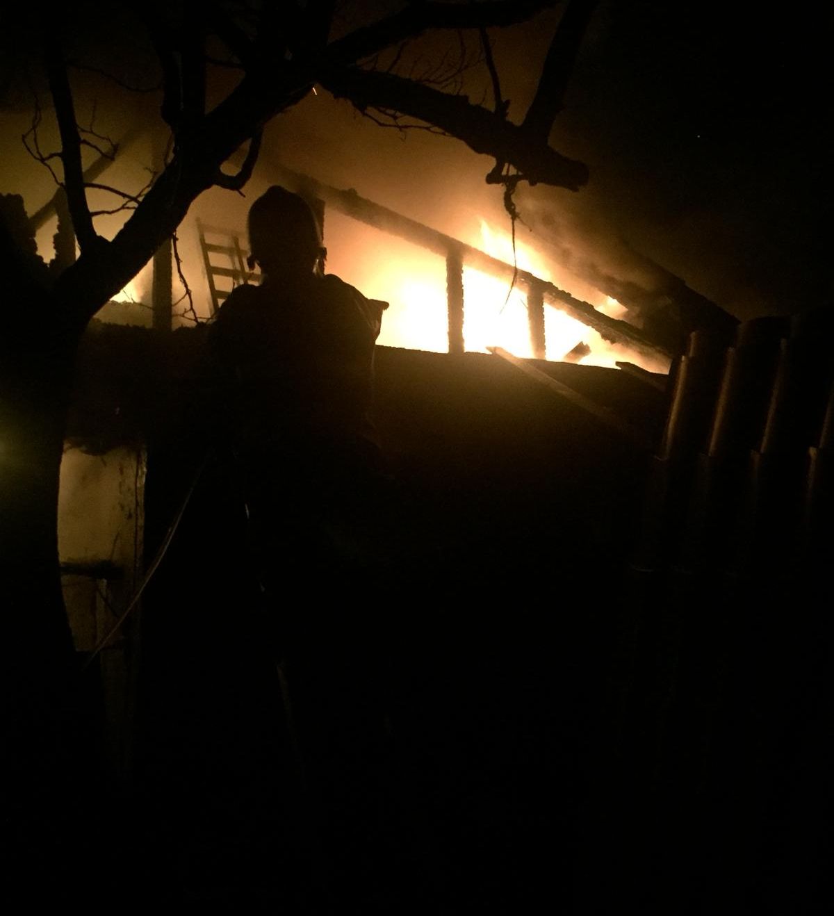 WhatsApp Image 2019-02-25 at 06.46.52