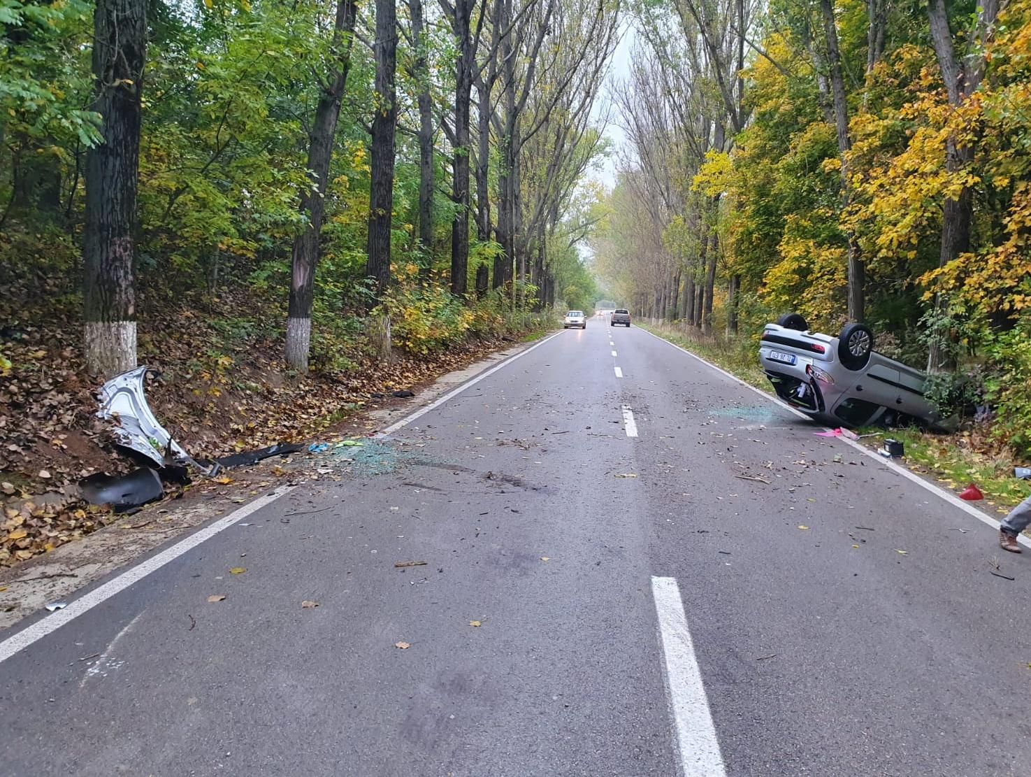 WhatsApp Image 2019-10-25 at 09.09.43