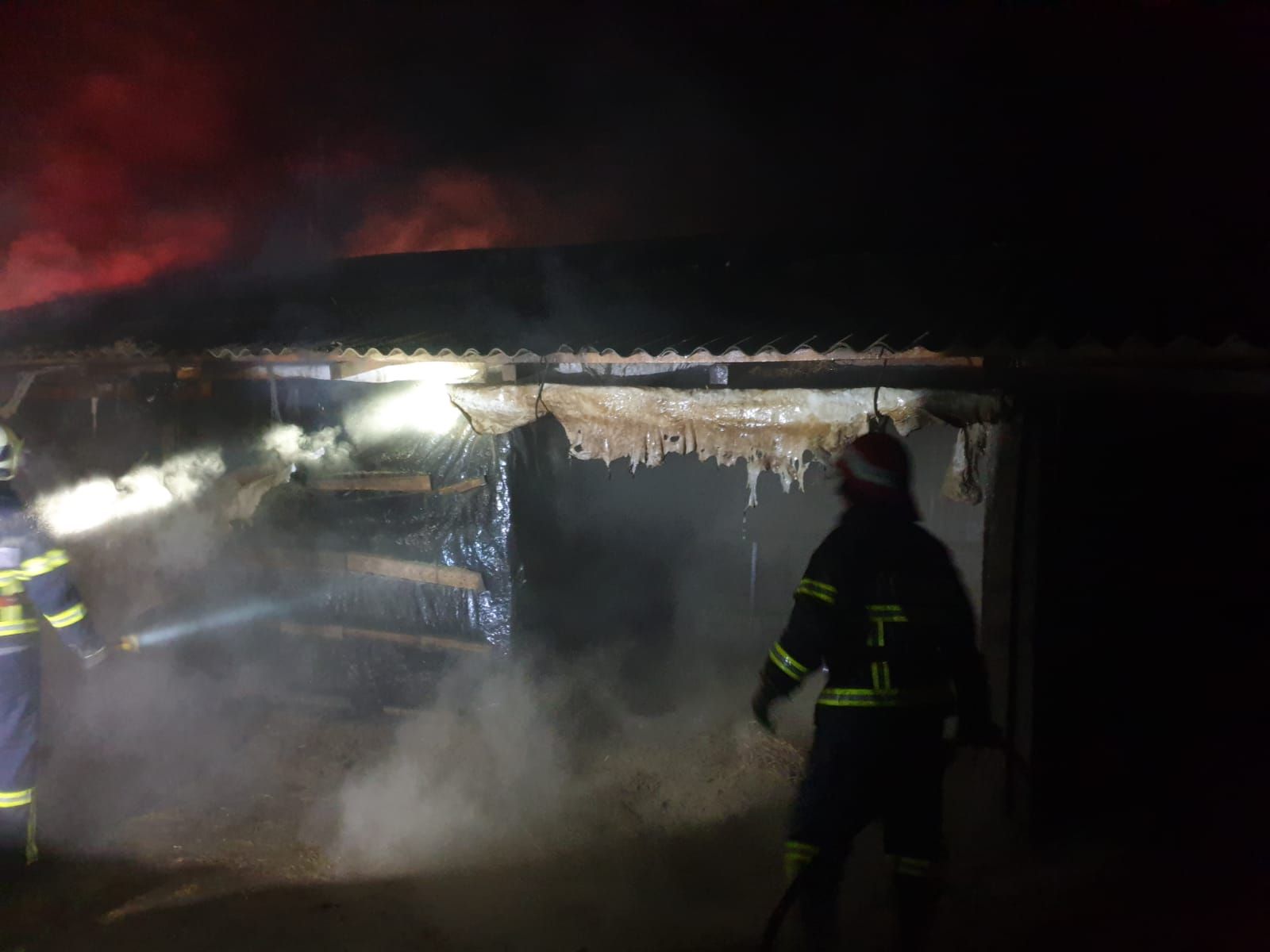 WhatsApp Image 2019-10-28 at 19.41.42