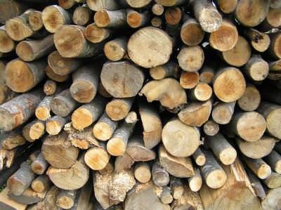 tn_admin_3840_469935_19611470