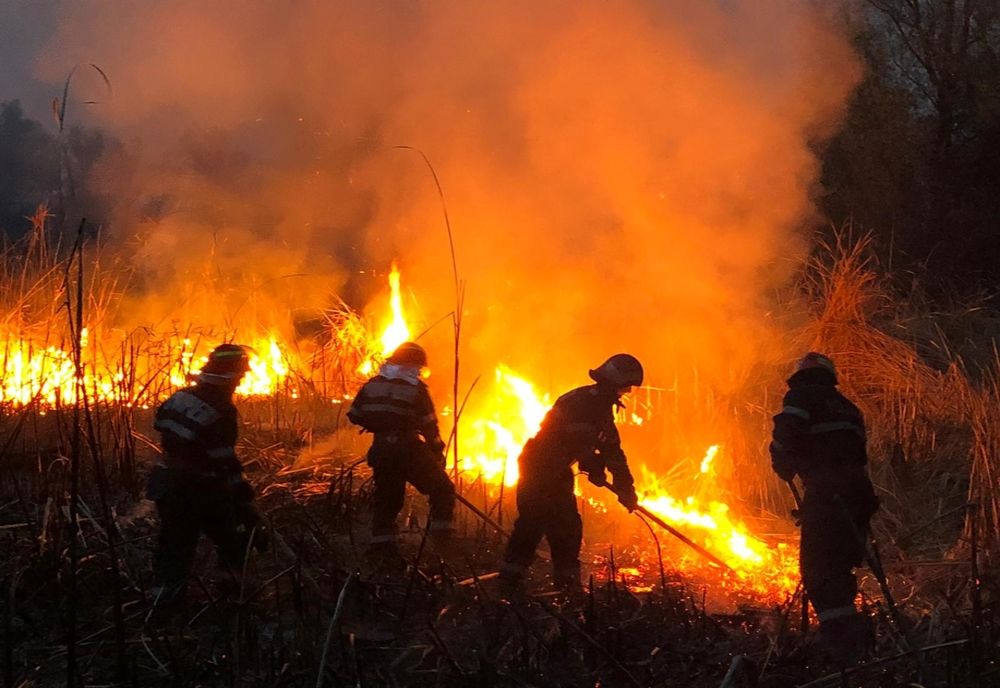 Incendiu de proporţii la Pătlăgeanca, în Delta Dunării: focare dispersate pe 300 de hectare de hectare