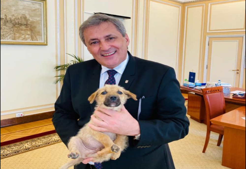 Ministrul Marcel Vela anunță că se înființează Poliția Animalelor
