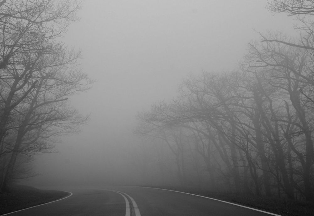 Alertă ANM COD GALBEN de ceață în județele Constanța și Tulcea