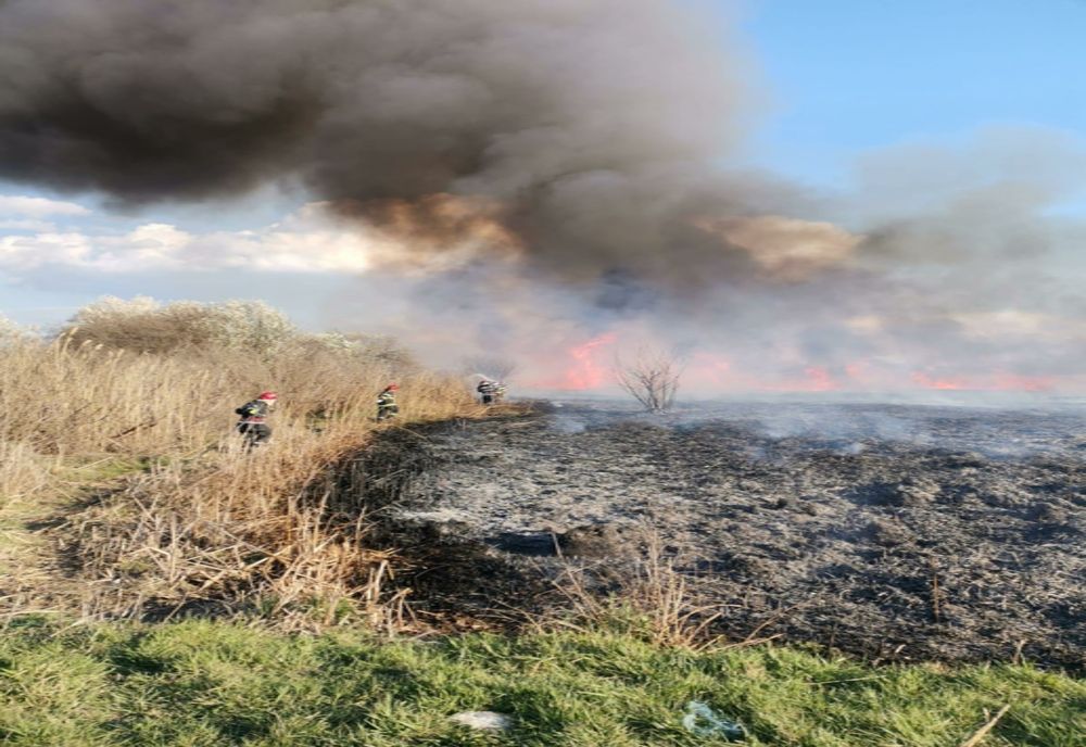 FOTO VIDEO Incendiu de vegetaţie uscată și stuf în Tulcea