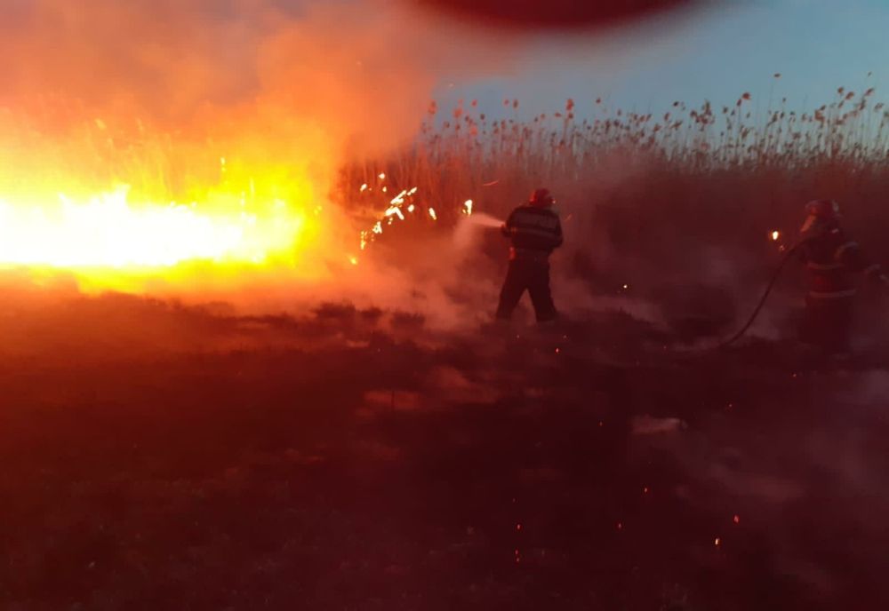 FOTO Incendiu violent de vegetație uscată și stuf