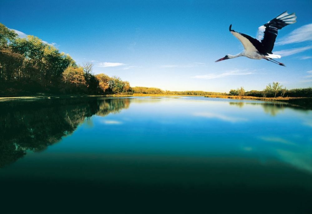 FOTO 21 mai - Ziua Europeană Natura 2000