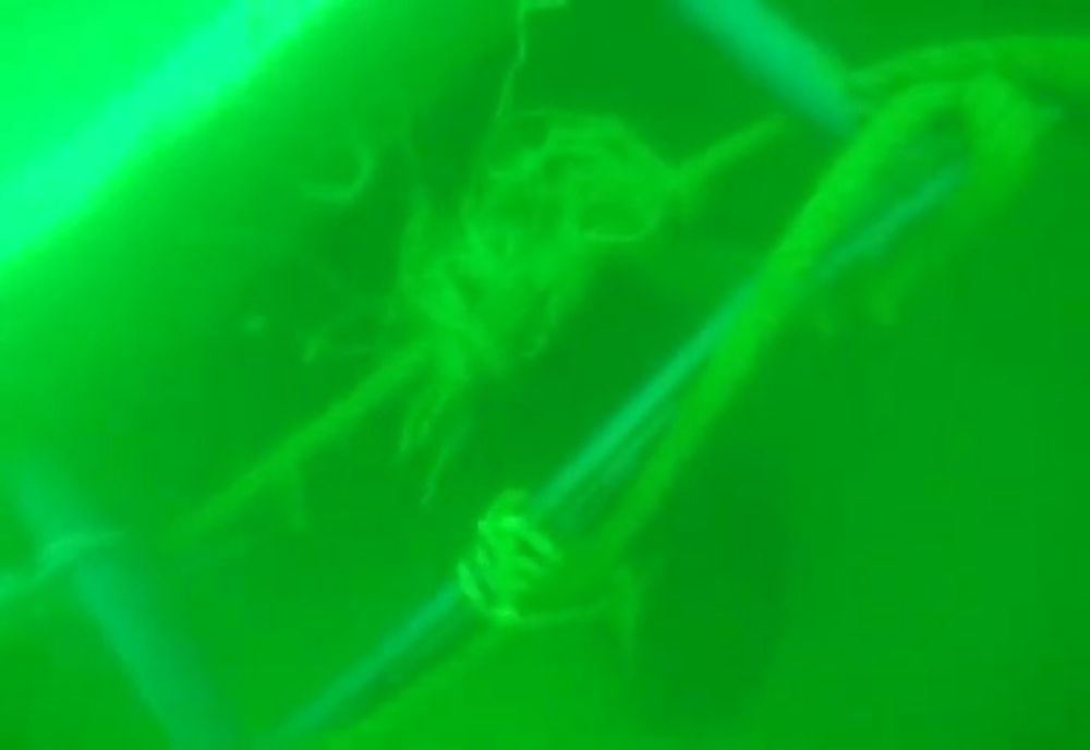 VIDEO| Imagini cu pescadorul scufundat  în Marea Neagră