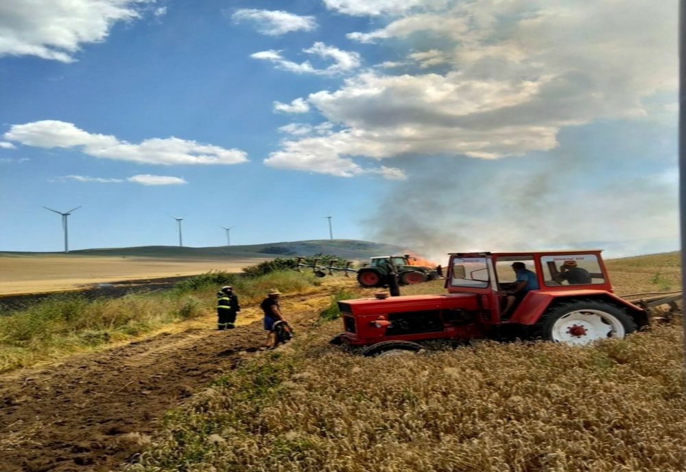 VIDEO| Lanuri de grâu în flăcări