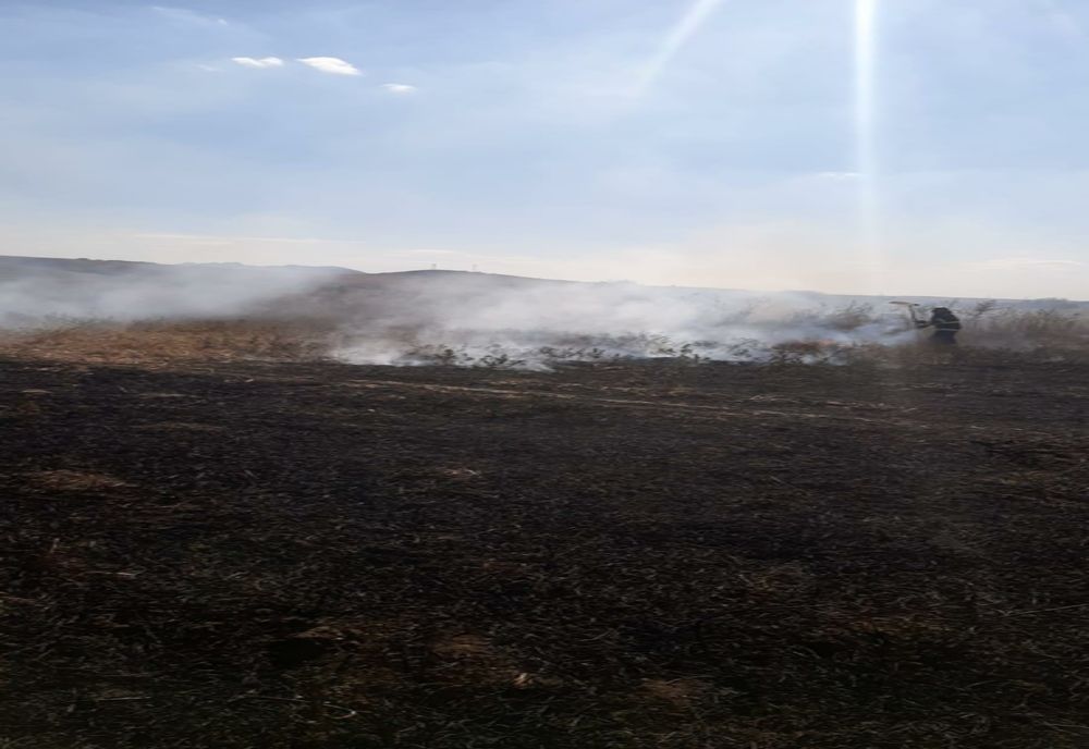 Incendiu cultură vita de vie la Greci