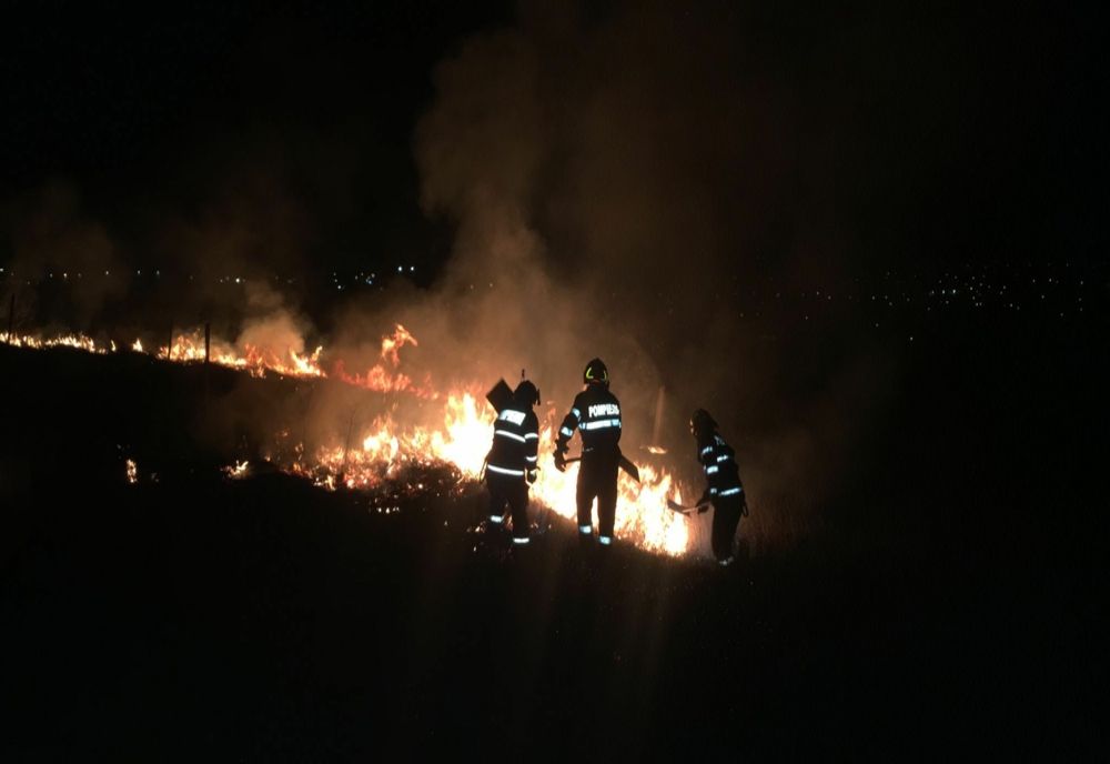 FOTO Incendiu puternic în apropierea municipiului Tulcea