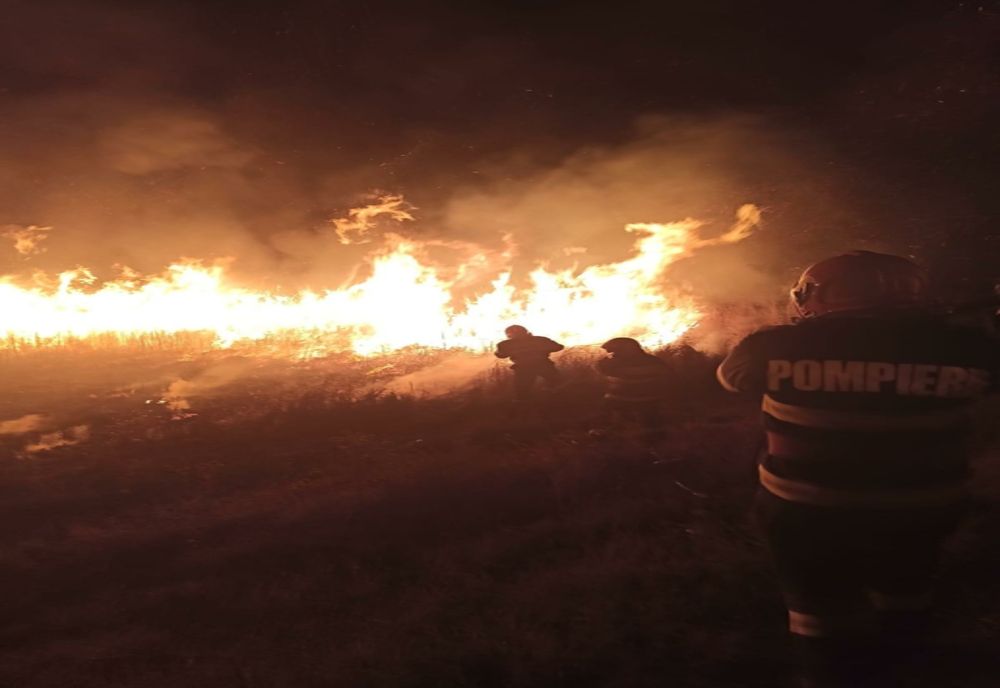 Incendiu violent la Peceneaga. Focul ar fi fost pus intenționat