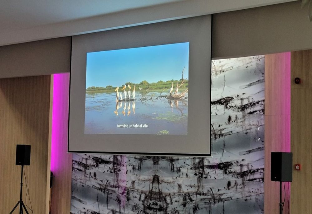 Documentarul „Wild Danube”, lansat la Tulcea